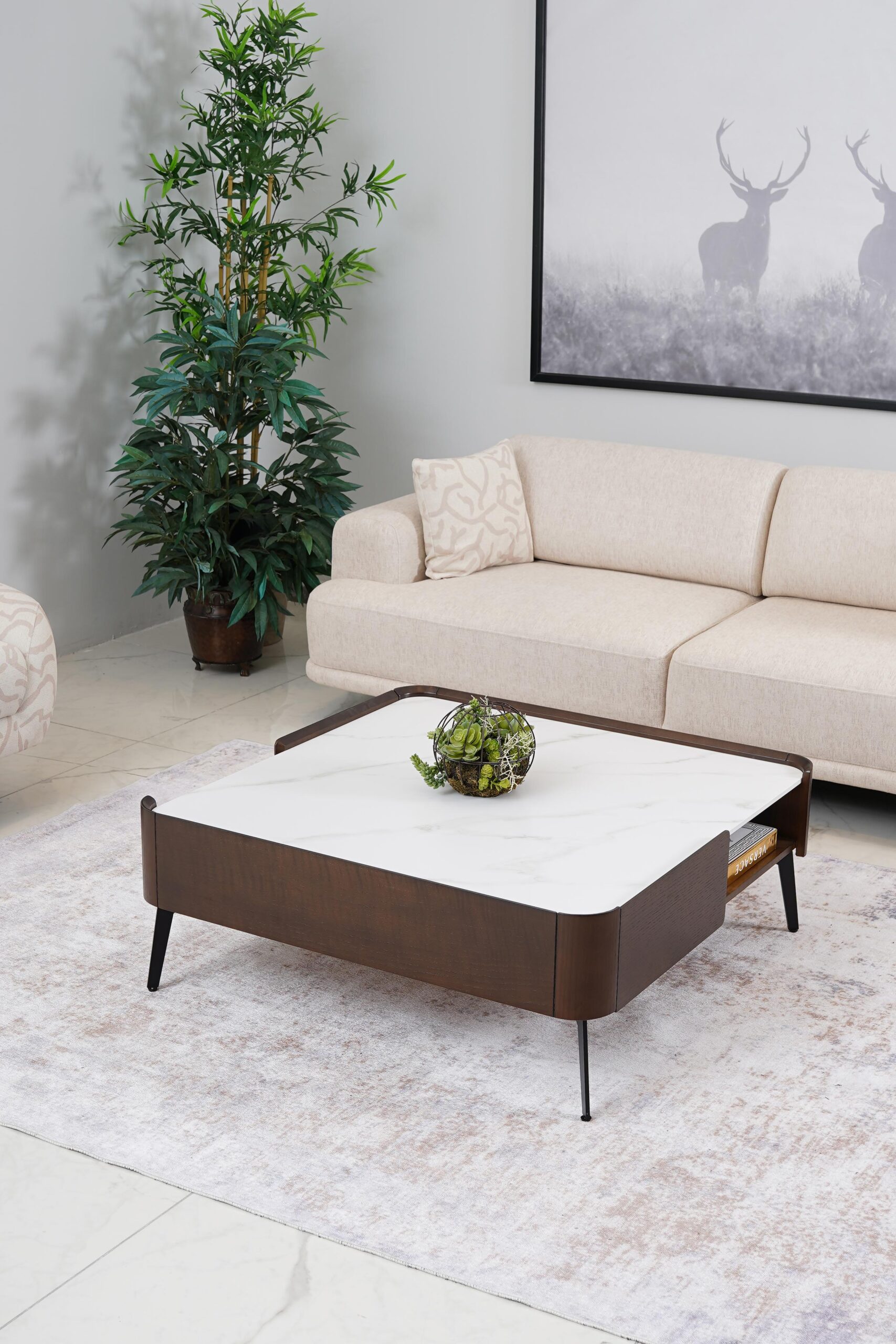 s21-3 Ametis Orta Sehpa - Görsel 1